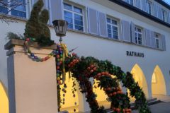 Website-IMG_6135