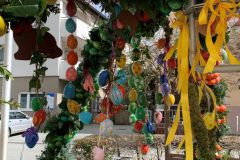Website-IMG_6200