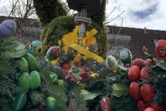 Website-IMG_6208