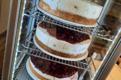 Web-PHOTO-2025-03-08-18-50-36