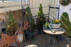 Web-PHOTO-2025-03-08-16-52-18