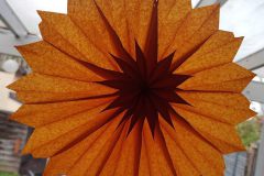 Website-PHOTO-2024-10-11-09-15-03