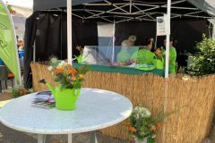 IMG_3550.jpg-Website