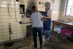 IMG_7809-Website