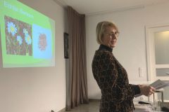 IMG_1962-neu.jpg-Website