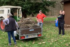 Website-IMG_6273