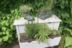 IMG_6888-Website