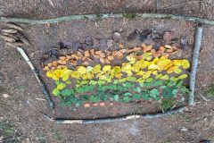 IMG_2847.jpg-Website-neu