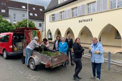 IMG-20250425-WA0033-Abschmuecken