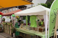 Website-IMG_7175-neu