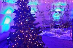 20231229_180245.jpg-Website