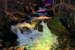 IMG_5455.jpg-Website