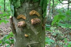 2.-Website-IMG_8651