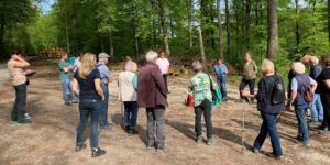 Mehr über den Artikel erfahren Eintauchen in die Faszination Wald – ein (ent)spannender Waldspaziergang