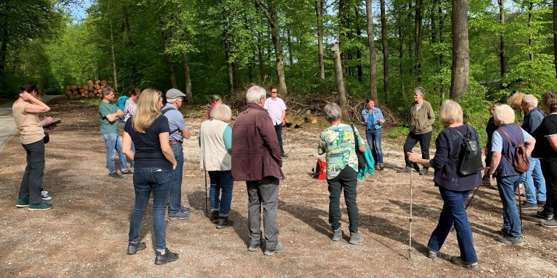 Du betrachtest gerade Eintauchen in die Faszination Wald – ein (ent)spannender Waldspaziergang
