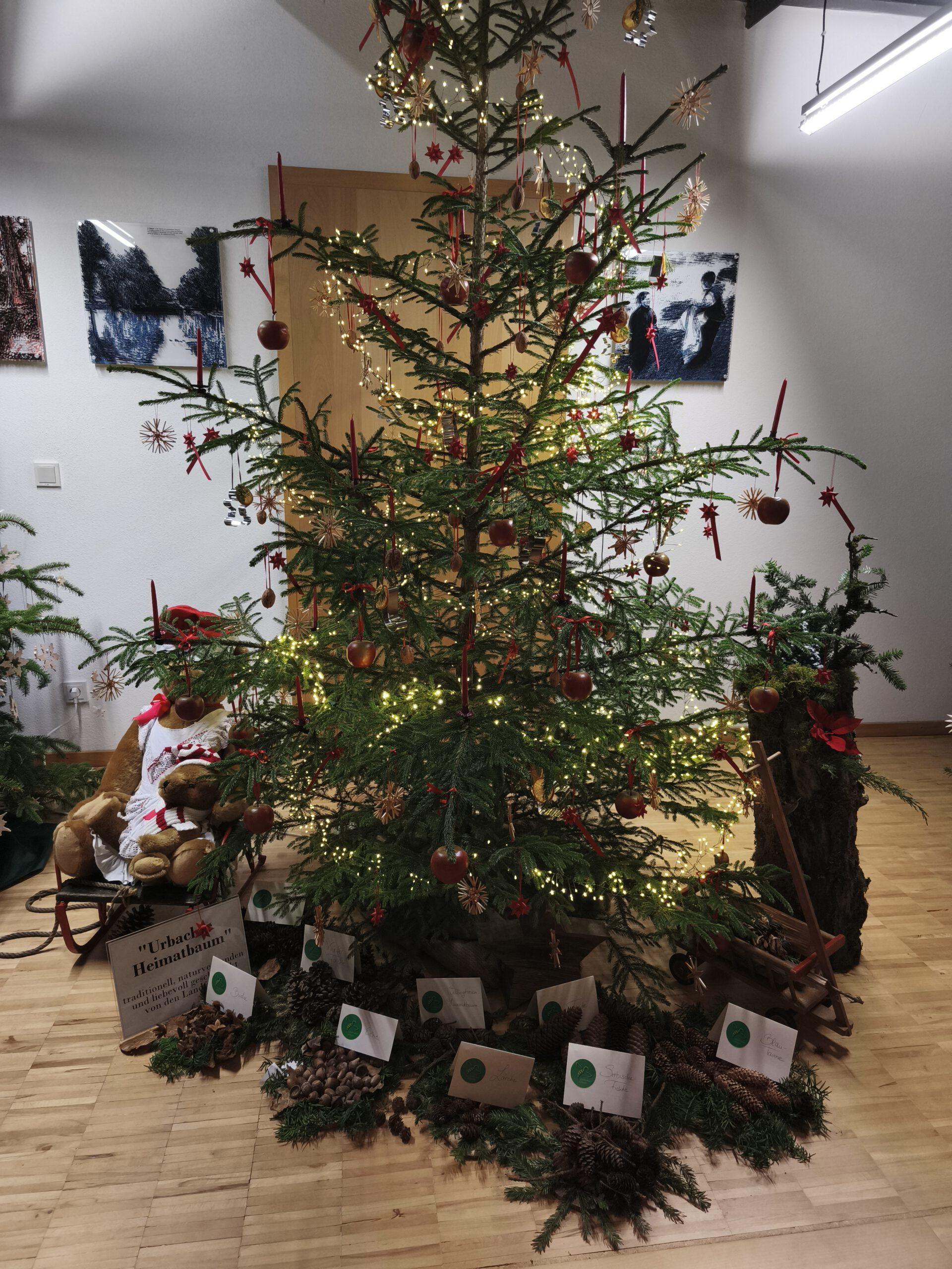 Du betrachtest gerade Christbaumausstellung Rathaus Urbach