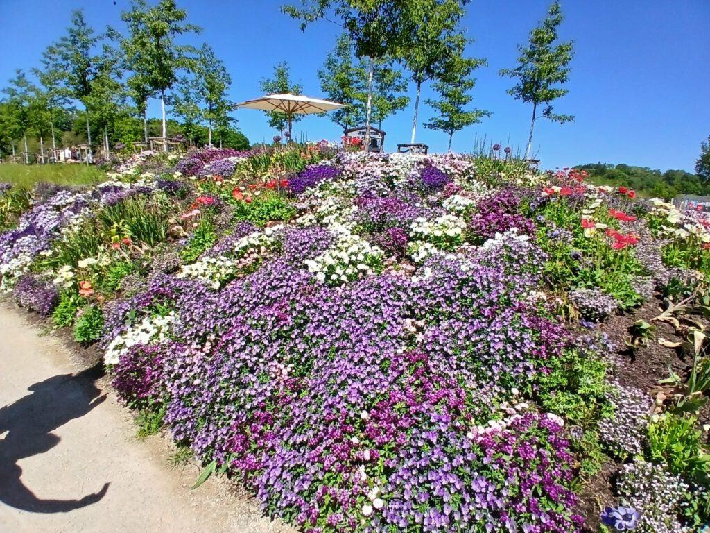 Sternfahrt zur Landesgartenschau Ellwangen