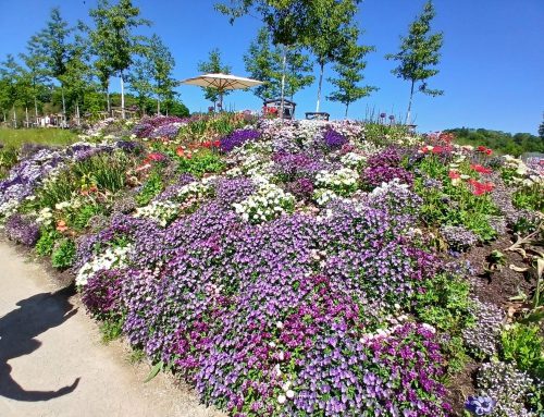 Sternfahrt zur Landesgartenschau Ellwangen