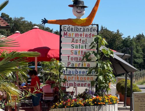 Traumhafter Bodenseeausflug der Landfrauen